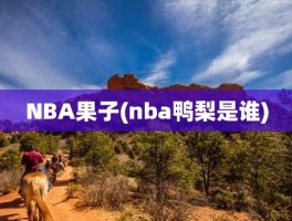 NBA果子(nba鸭梨是谁)