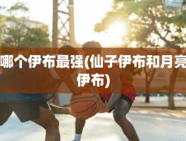 哪个伊布最强(仙子伊布和月亮伊布)