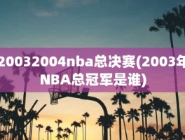 20032004nba总决赛(2003年NBA总冠军是谁)