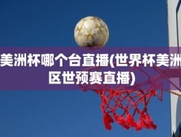 美洲杯哪个台直播(世界杯美洲区世预赛直播)