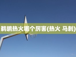 鹈鹕热火哪个厉害(热火 马刺)