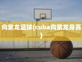 向紫龙篮球(cuba向紫龙身高)