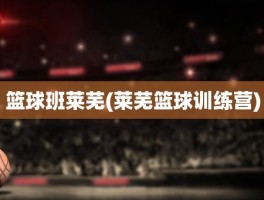 篮球班莱芜(莱芜篮球训练营)