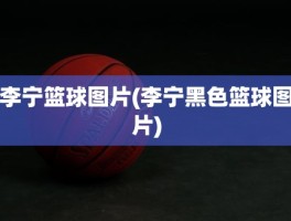李宁篮球图片(李宁黑色篮球图片)