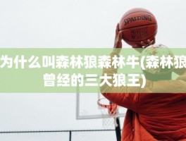 为什么叫森林狼森林牛(森林狼曾经的三大狼王)