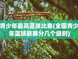 青少年最高篮球比赛(全国青少年篮球联赛分几个级别)