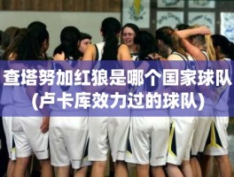 查塔努加红狼是哪个国家球队(卢卡库效力过的球队)