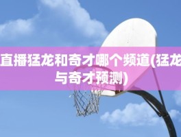 直播猛龙和奇才哪个频道(猛龙与奇才预测)
