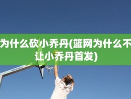 为什么砍小乔丹(篮网为什么不让小乔丹首发)