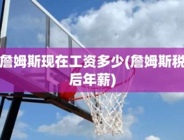 詹姆斯现在工资多少(詹姆斯税后年薪)