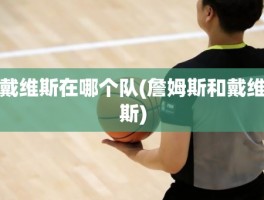戴维斯在哪个队(詹姆斯和戴维斯)