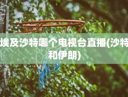 埃及沙特哪个电视台直播(沙特和伊朗)