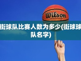 街球队比赛人数为多少(街球球队名字)