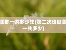 美职一共多少轮(第二次也很美一共多少)