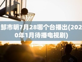 邹市明7月28哪个台播出(2020年1月待播电视剧)