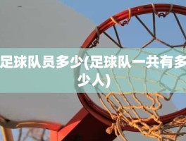 足球队员多少(足球队一共有多少人)