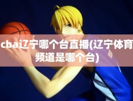 cba辽宁哪个台直播(辽宁体育频道是哪个台)