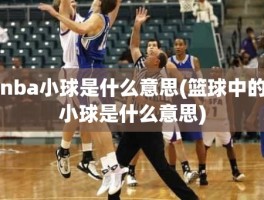 nba小球是什么意思(篮球中的小球是什么意思)