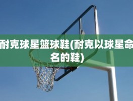 耐克球星篮球鞋(耐克以球星命名的鞋)