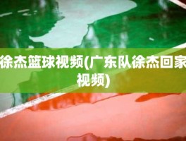 徐杰篮球视频(广东队徐杰回家视频)