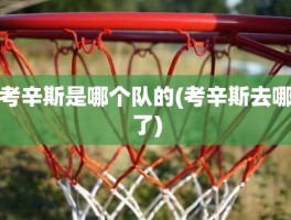 考辛斯是哪个队的(考辛斯去哪了)