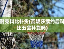 耐克科比补货(瓦妮莎续约后科比五会补货吗)