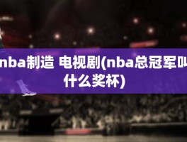 nba制造 电视剧(nba总冠军叫什么奖杯)