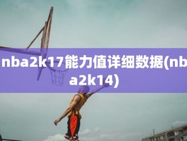 nba2k17能力值详细数据(nba2k14)