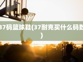 37码篮球鞋(37耐克买什么码数)