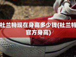 杜兰特现在身高多少钱(杜兰特官方身高)