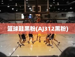 篮球鞋黑粉(AJ312黑粉)