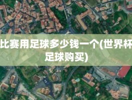 比赛用足球多少钱一个(世界杯足球购买)