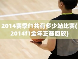 2014赛季f1共有多少站比赛(2014f1全年正赛回放)