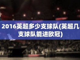 2016英超多少支球队(英超几支球队能进欧冠)