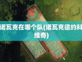 诺瓦克在哪个队(诺瓦克德约科维奇)