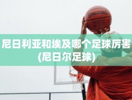 尼日利亚和埃及哪个足球厉害(尼日尔足球)