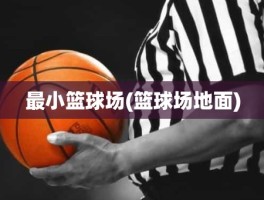 最小篮球场(篮球场地面)