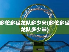 多伦多猛龙队多少米(多伦多猛龙队多少米)