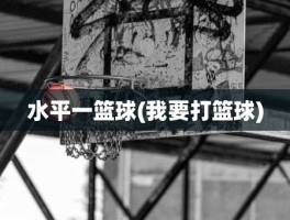 水平一篮球(我要打篮球)