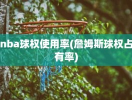 nba球权使用率(詹姆斯球权占有率)