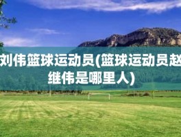 刘伟篮球运动员(篮球运动员赵继伟是哪里人)