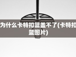 为什么卡特扣篮盖不了(卡特扣篮图片)