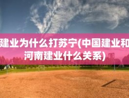 建业为什么打苏宁(中国建业和河南建业什么关系)