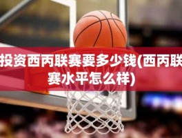 投资西丙联赛要多少钱(西丙联赛水平怎么样)