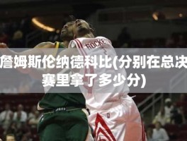詹姆斯伦纳德科比(分别在总决赛里拿了多少分)