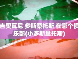 吉奥瓦尼 多斯桑托斯 在哪个俱乐部(小多斯桑托斯)