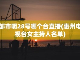 邹市明28号哪个台直播(惠州电视台女主持人名单)