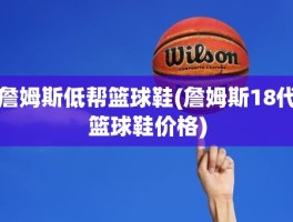 詹姆斯低帮篮球鞋(詹姆斯18代篮球鞋价格)