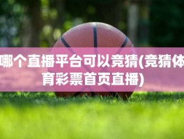 哪个直播平台可以竞猜(竞猜体育彩票首页直播)