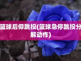 篮球后仰跳投(篮球急停跳投分解动作)